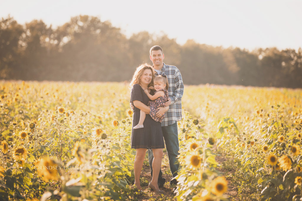 Sunflower Mini Sessions - Milton, FL Family Photographer