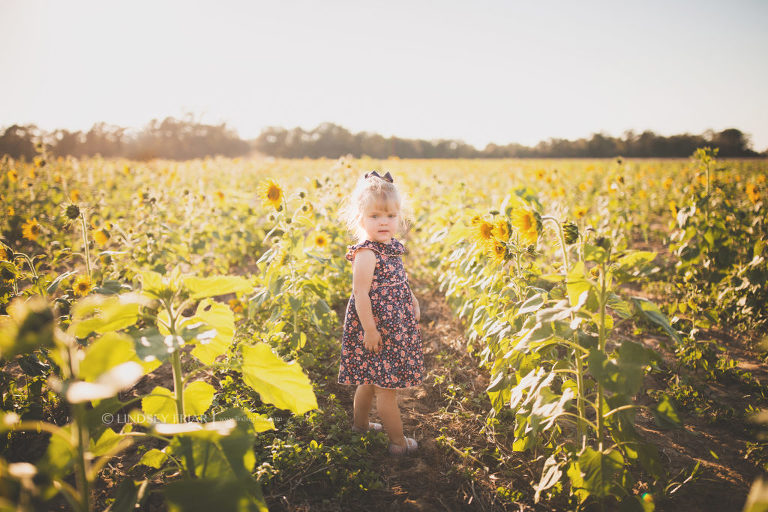Sunflower Mini Sessions - Milton, FL Family Photographer