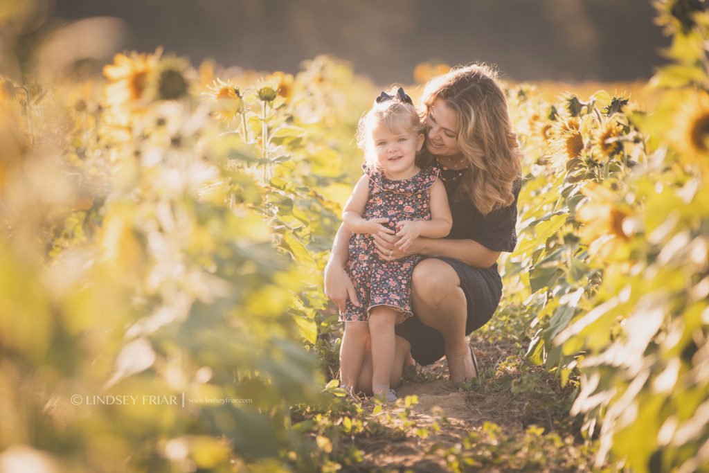 Sunflower Mini Sessions - Milton, FL Family Photographer