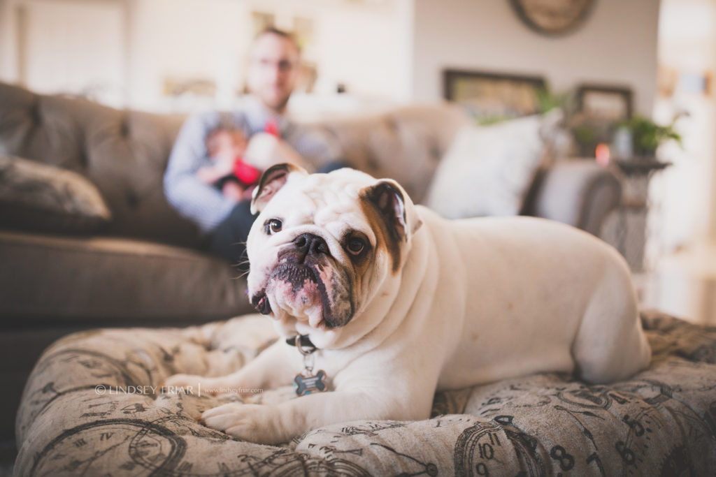 089 © Lindsey Friar Photography 2019 1024x683
