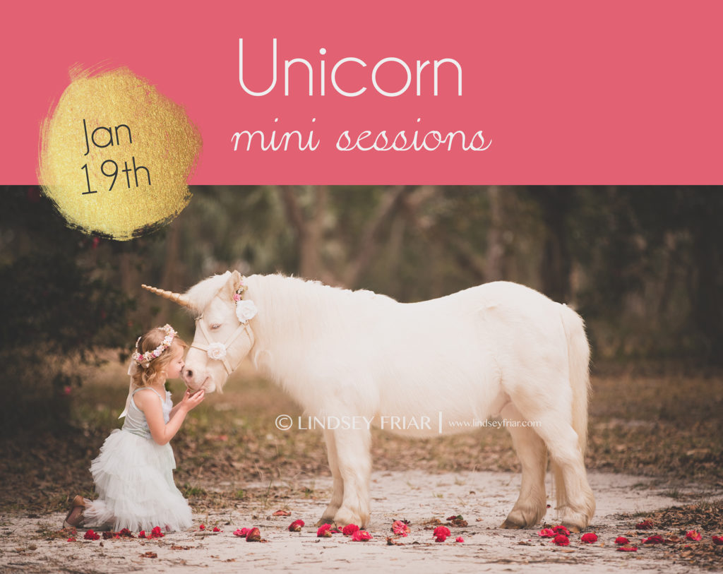 Unicorn Pensacola Florida