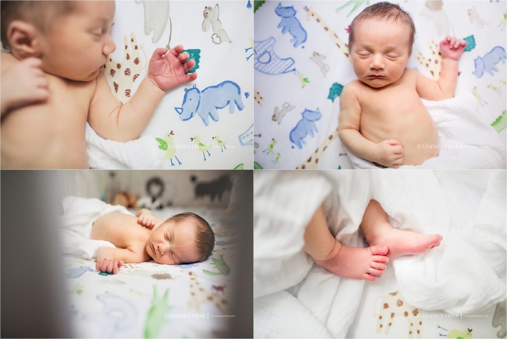 Pensacola Beach Newborn Photographer119 1024x684