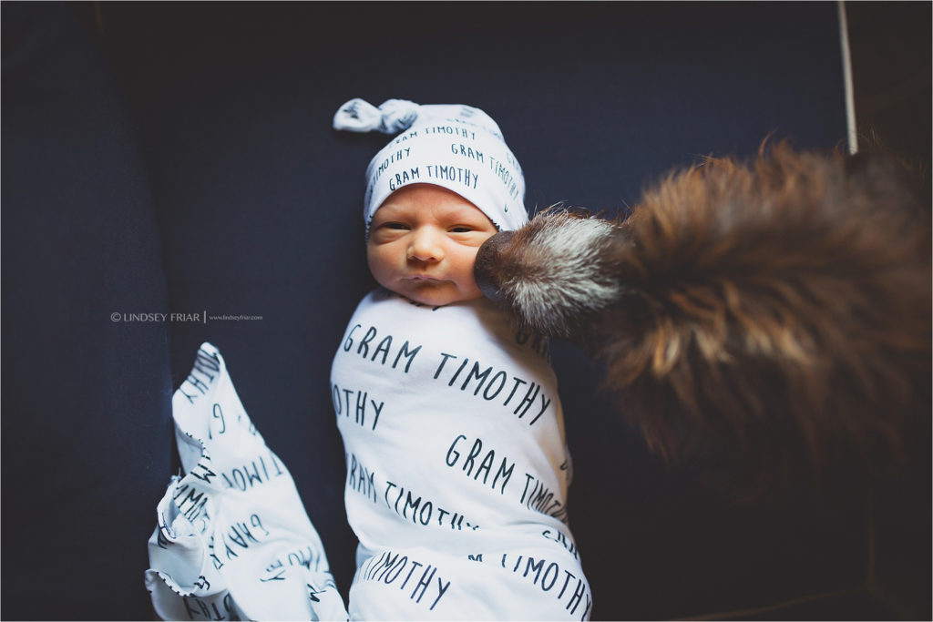 newborn and dog photography ideas