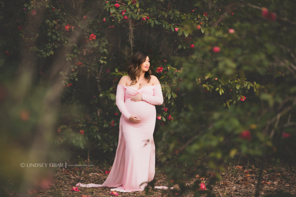 pregnant mama posing in front of a blooming camelia tree wearing a long flowy pink dress