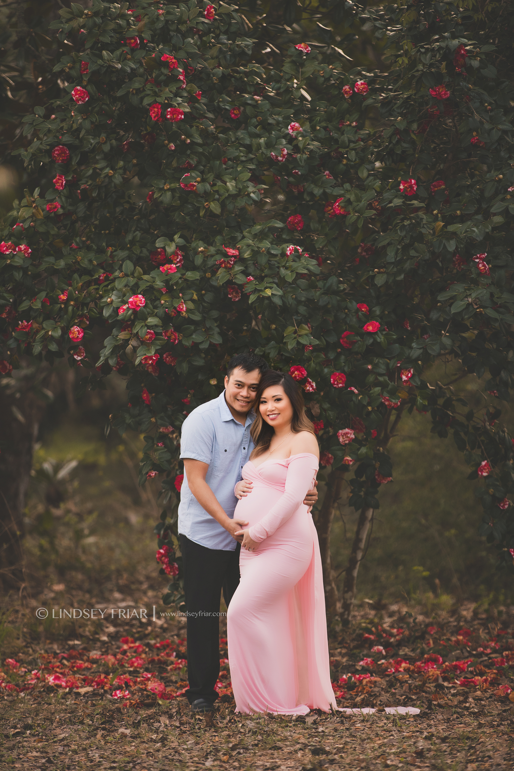 expecting couple posing for a maternity photograph in front of a blooming camelia tree