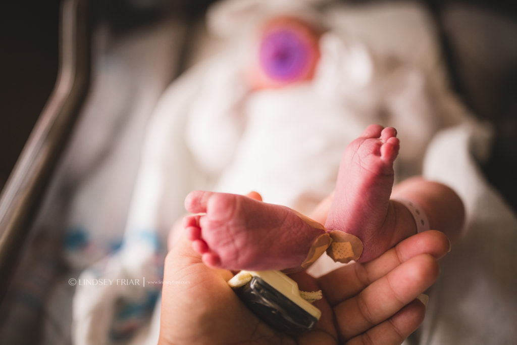 Pensacola, FL Newborn Photographer