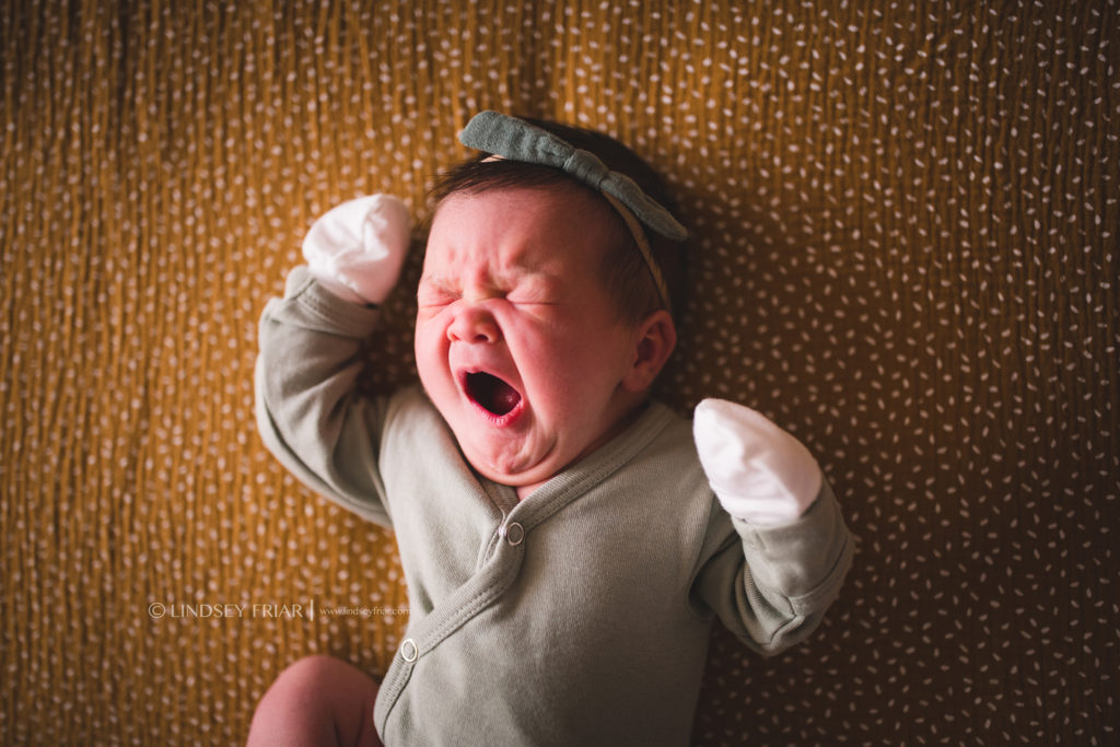 Pensacola Florida Newborn Photographer 40 1024x683