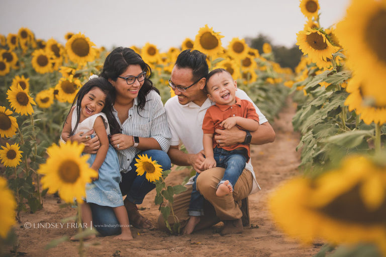 Sunflower Mini Session - Milton, FL Family Photographer