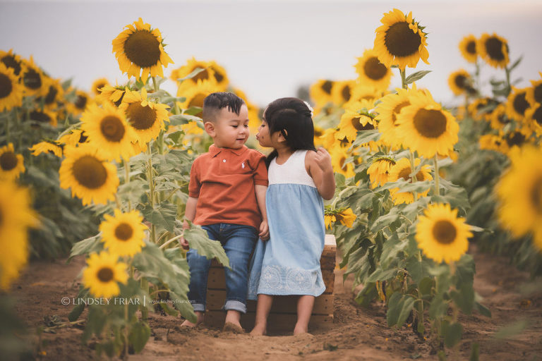 Sunflower Mini Session - Milton, FL Family Photographer