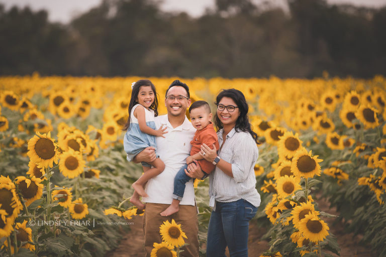 Sunflower Mini Session - Milton, FL Family Photographer