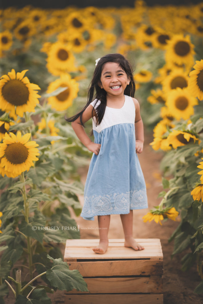 Sunflower Mini Session - Milton, FL Family Photographer