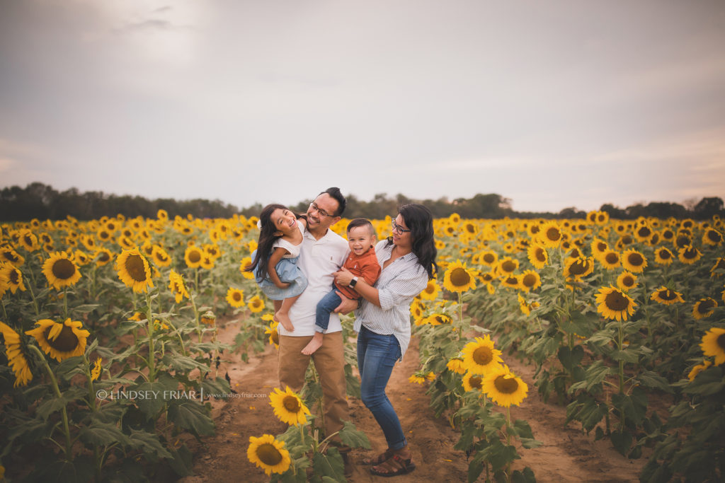 Sunflower Mini Session - Milton, FL Family Photographer