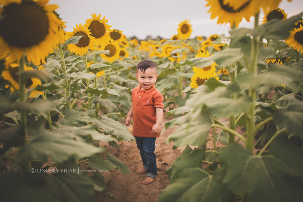 Sunflower Mini Session - Milton, FL Family Photographer