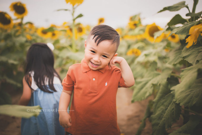 Sunflower Mini Session - Milton, FL Family Photographer