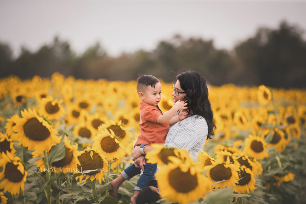 Sunflower Mini Session - Milton, FL Family Photographer
