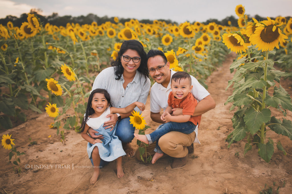 Sunflower Mini Session - Milton, FL Family Photographer