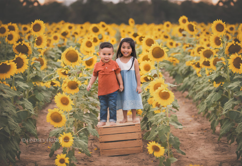 Sunflower Mini Session - Milton, FL Family Photographer