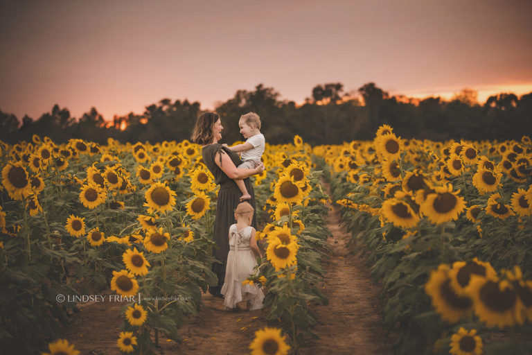 Sunflower Mini Session - Milton, FL Family Photographer