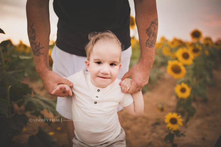 Sunflower Mini Session - Milton, FL Family Photographer