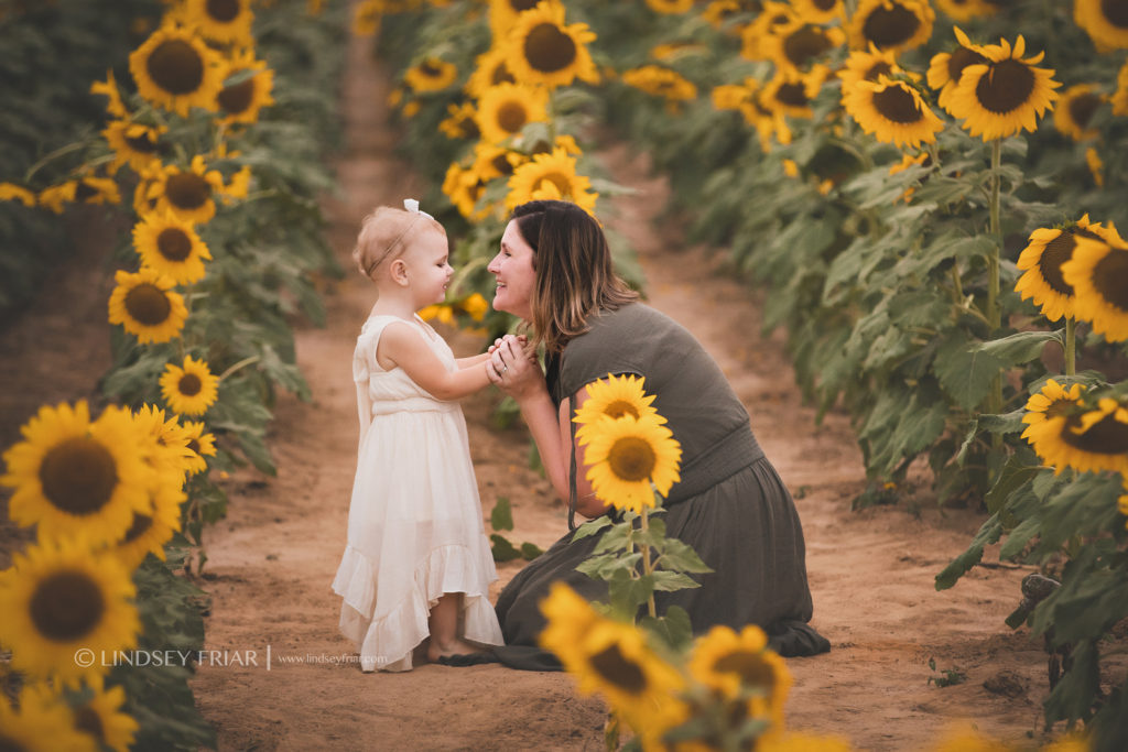 Sunflower Mini Session - Milton, FL Family Photographer