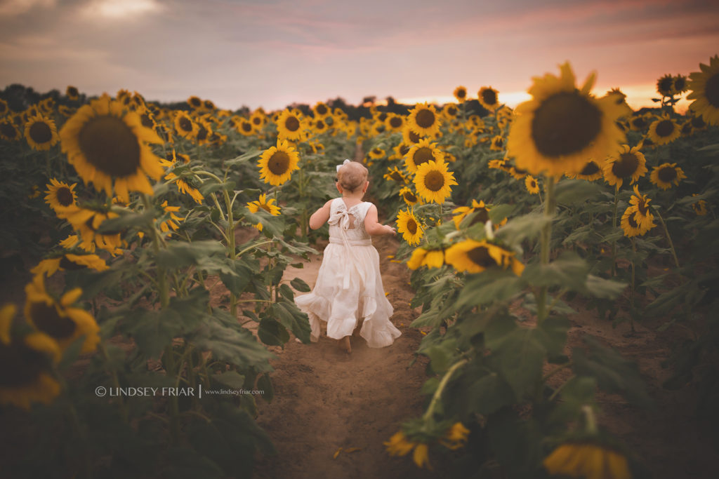 Sunflower Mini Session - Milton, FL Family Photographer