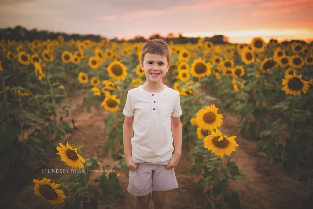 Sunflower Mini Session - Milton, FL Family Photographer