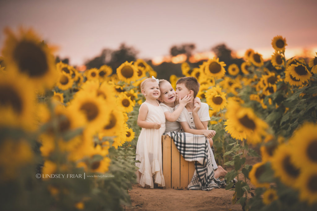 Sunflower Mini Session - Milton, FL Family Photographer