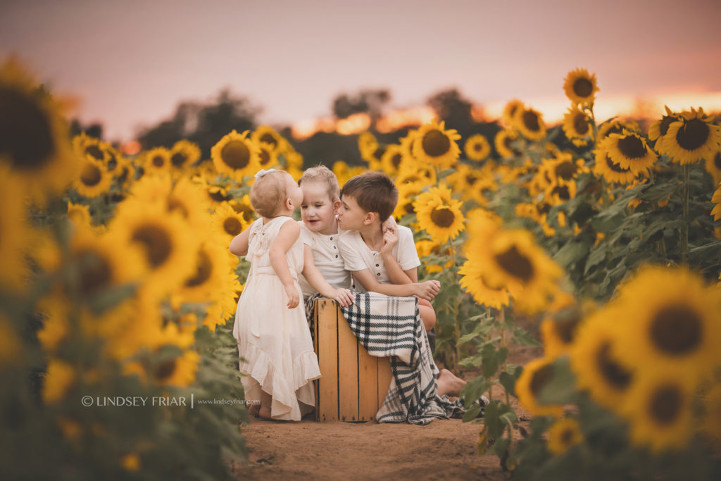Sunflower Mini Session - Milton, FL Family Photographer