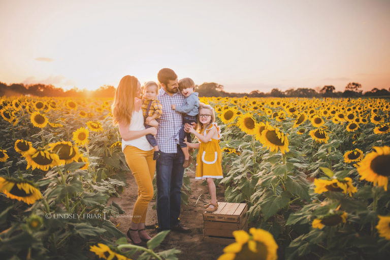 Sunflower Mini Session - Milton, FL Family Photographer