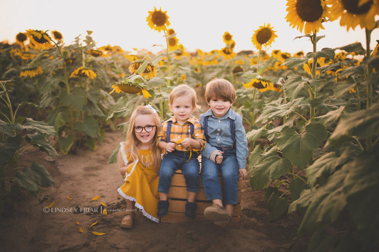 Sunflower Mini Session - Milton, FL Family Photographer