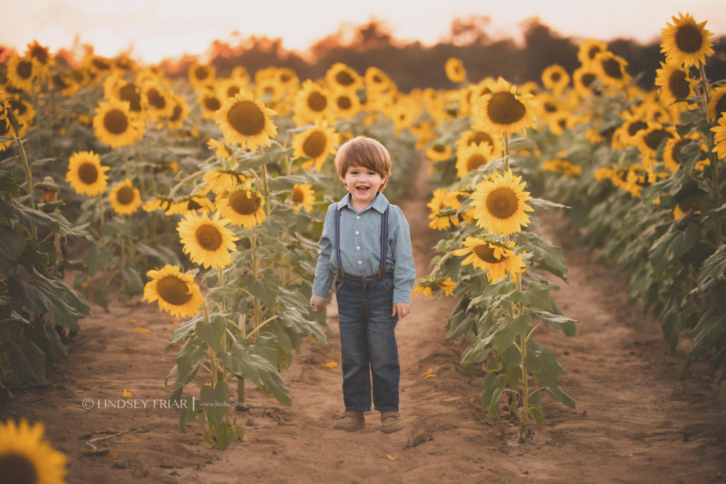 Sunflower Mini Session - Milton, FL Family Photographer