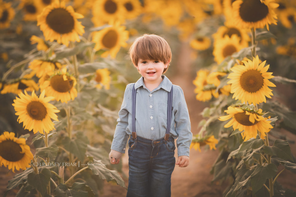 Sunflower Mini Session - Milton, FL Family Photographer