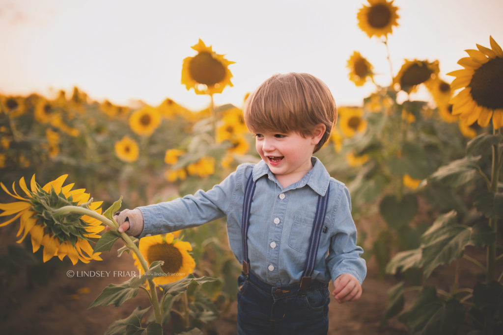 Sunflower Mini Session - Milton, FL Family Photographer