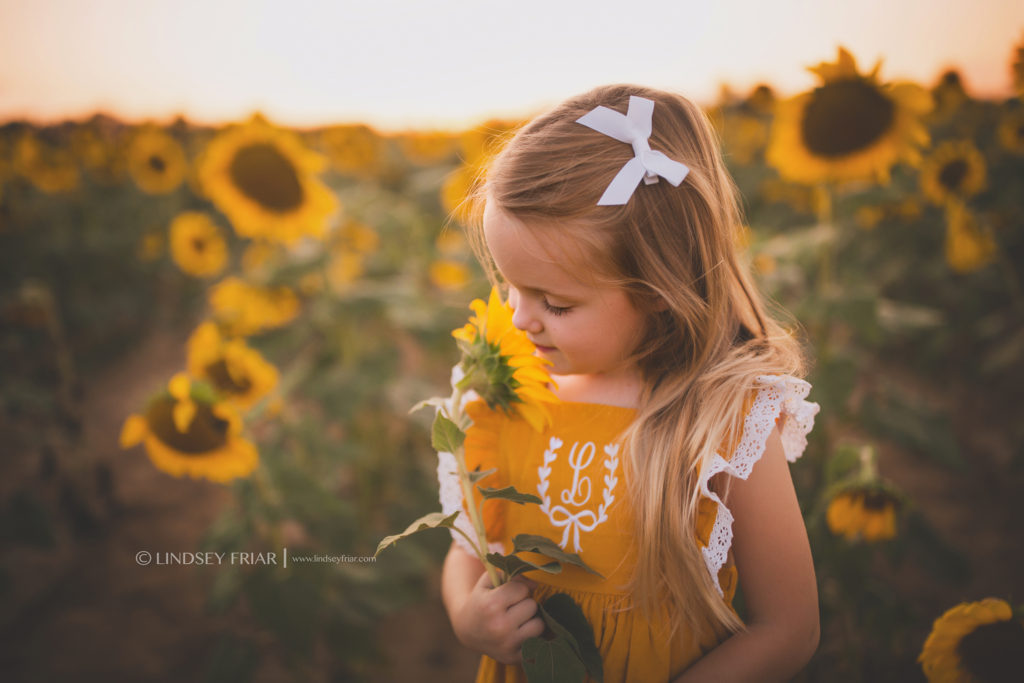 Sunflower Mini Session - Milton, FL Family Photographer