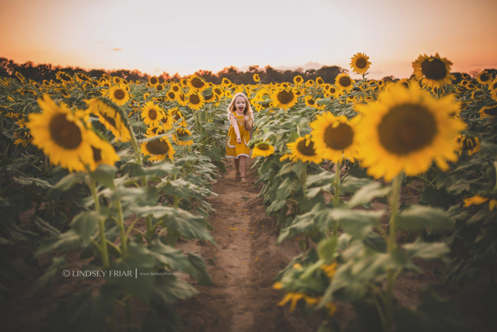 Sunflower Mini Session - Milton, FL Family Photographer