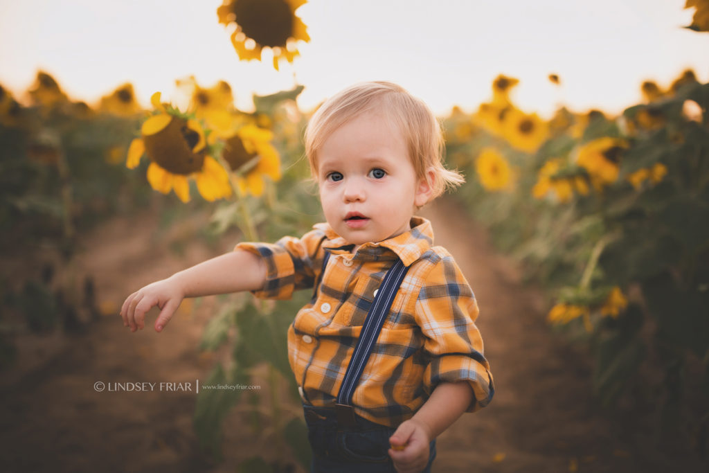Sunflower Mini Session - Milton, FL Family Photographer