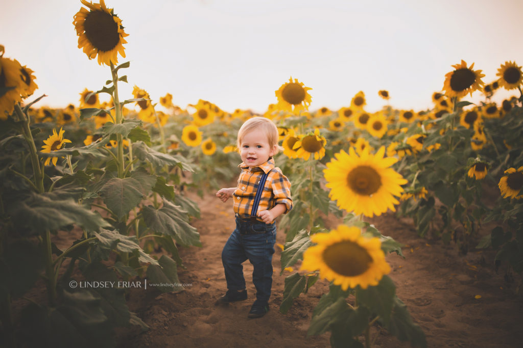 Sunflower Mini Session - Milton, FL Family Photographer