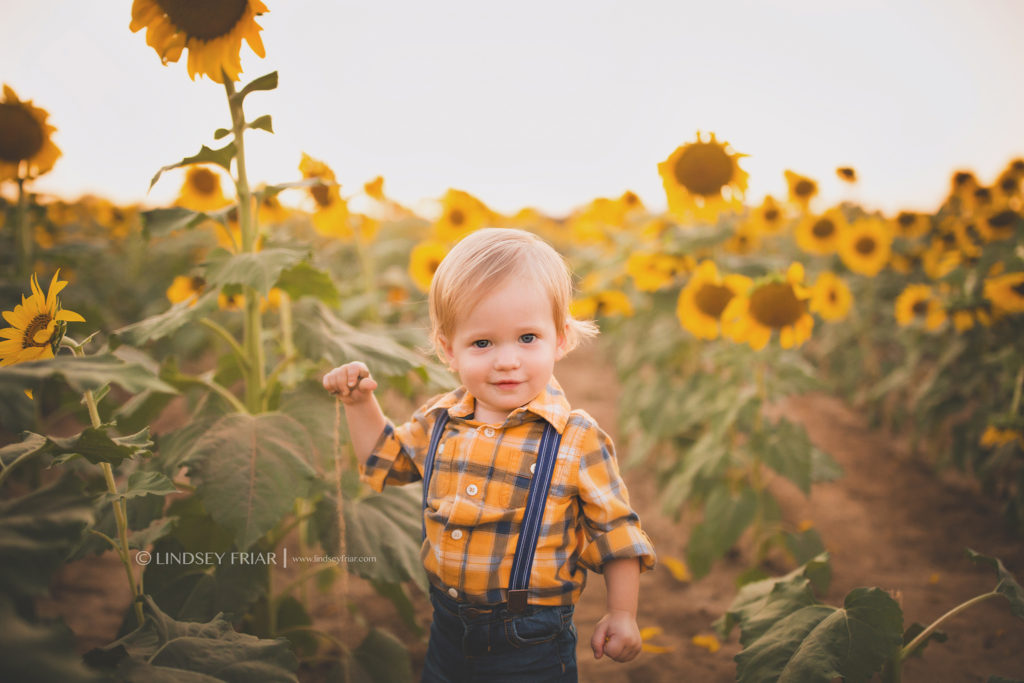 Sunflower Mini Session - Milton, FL Family Photographer