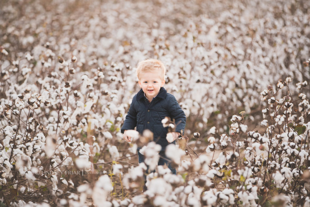 Cotton Mini Sessions, Pensacola, Florida