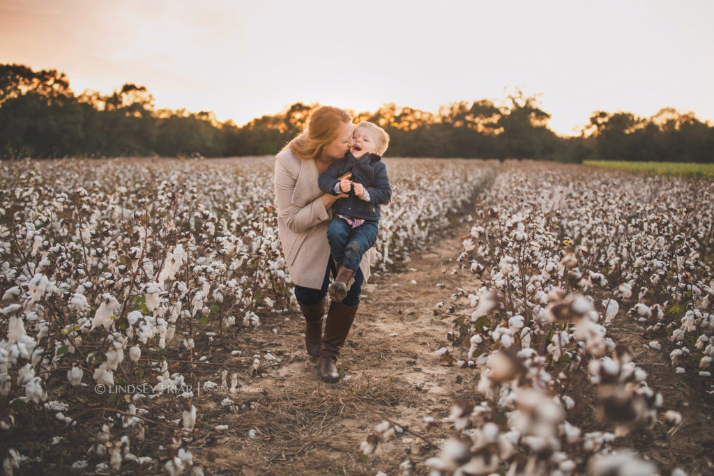Cotton Mini Sessions, Pensacola, Florida