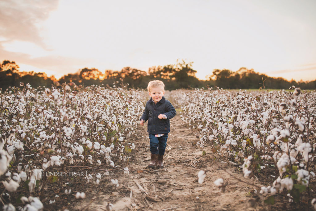 Cotton Mini Sessions, Pensacola, Florida