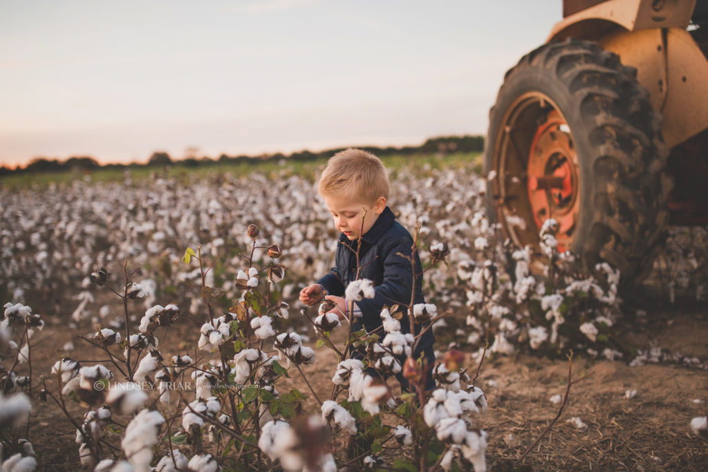 Cotton Mini Sessions, Pensacola, Florida