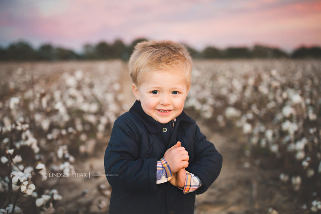 Cotton Mini Sessions, Pensacola, Florida
