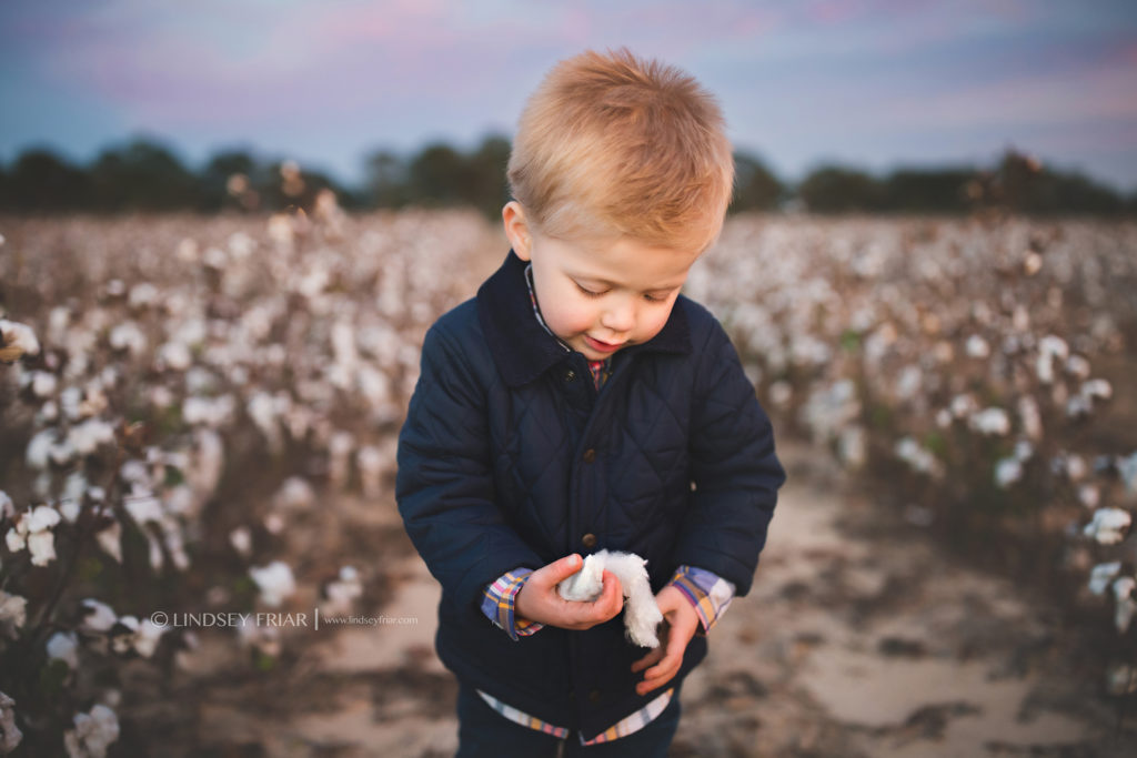 Cotton Mini Sessions, Pensacola, Florida