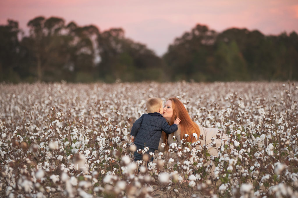 Cotton Mini Sessions, Pensacola, Florida