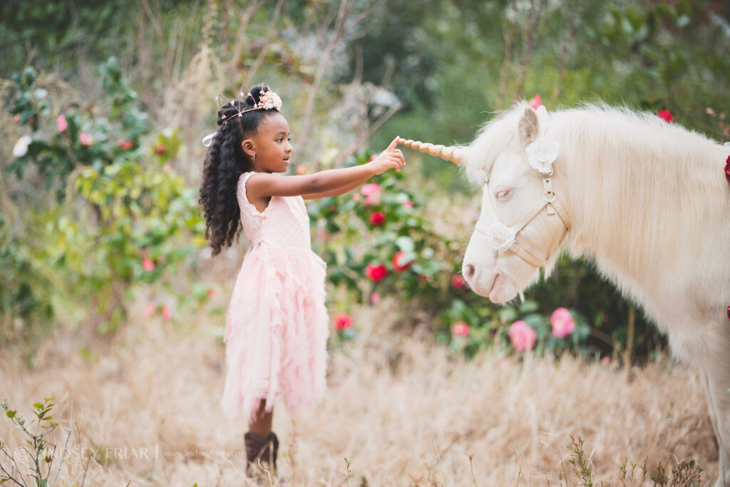 Unicorn Mini Session - Pensacola, FL Photographer 002 Lindsey Friar Photgraphy 2020 1024x683