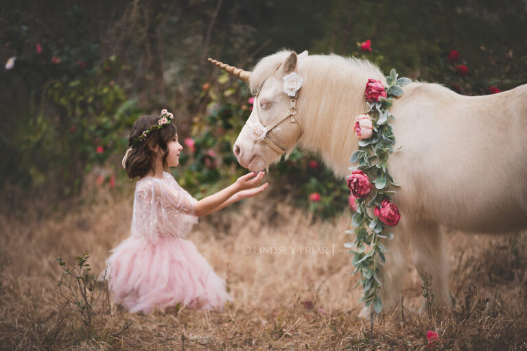 Unicorn Mini Session Photographer