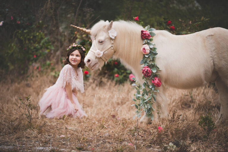 Unicorn Mini Session Photographer