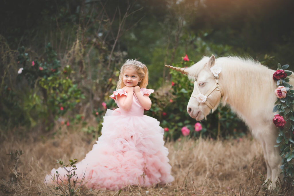 Unicorn Mini Session - Pensacola, FL Photographer 008 Lindsey Friar Photgraphy 2020 1 1024x683