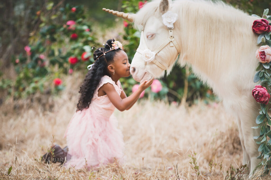 Unicorn Mini Session - Pensacola, FL Photographer 008 Lindsey Friar Photgraphy 2020 1024x683